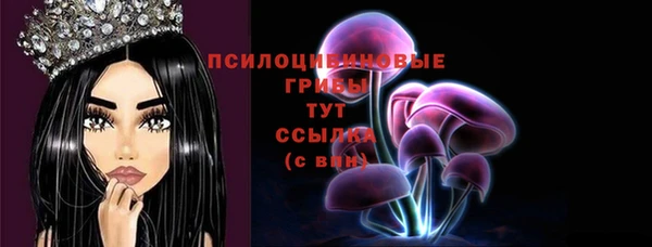 таблы Алзамай