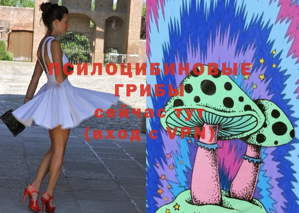 таблы Алзамай