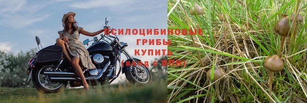 таблы Алзамай